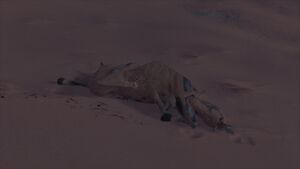 LightsAmongTheDunes28-UndeadSandD.jpg