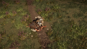 ACV Eivor assassinate Ruaidrí.png