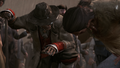 Thumbnail for version as of 00:21, 23 January 2026