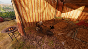 Bayek frees Nesamun