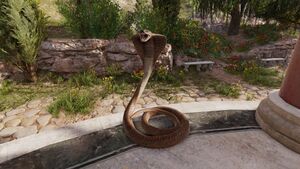 Snake-origins.jpg