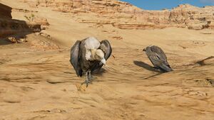 Vulture-origins.jpg