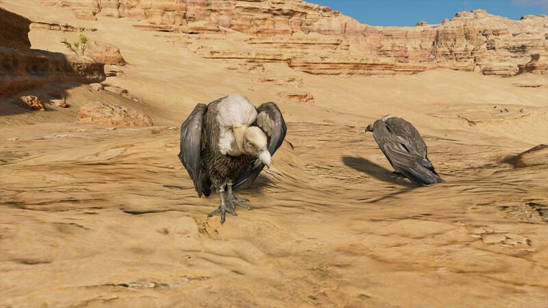 File:Vulture-origins.jpg