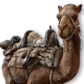 Thumbnail for version as of 00:12, 23 January 2026
