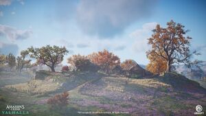 ACV Lincolnshire 9.jpg