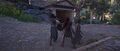 Thumbnail for version as of 00:32, 23 January 2026
