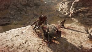 ACOd-BareItAll-wolves.jpg