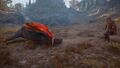 Thumbnail for version as of 00:16, 23 January 2026