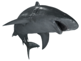 Animus EGO Database image