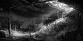 Thumbnail for version as of 00:18, 23 January 2026