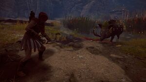 ACOd-ErymanthianBoar-02.jpg