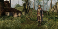 Thumbnail for version as of 00:14, 23 January 2026