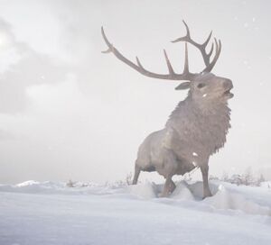 ACV Elk of Bloody Peaks.jpg