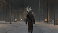 Thumbnail for version as of 00:13, 23 January 2026