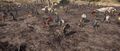 Thumbnail for version as of 00:23, 23 January 2026