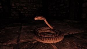 ACOd-snakewary.jpg