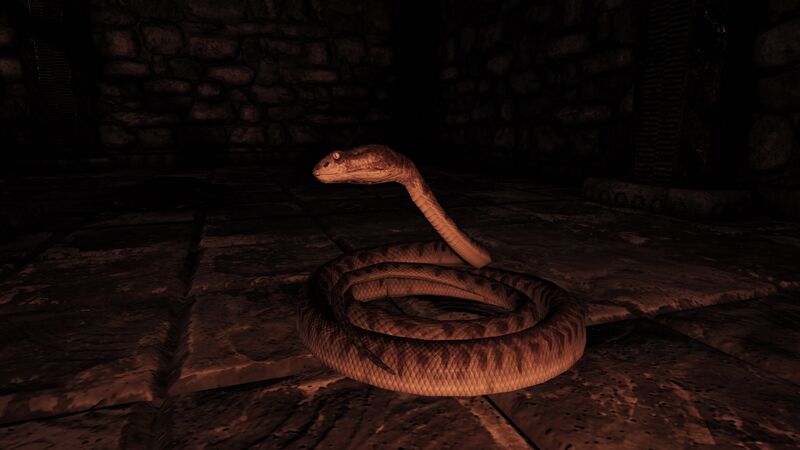 File:ACOd-snakewary.jpg
