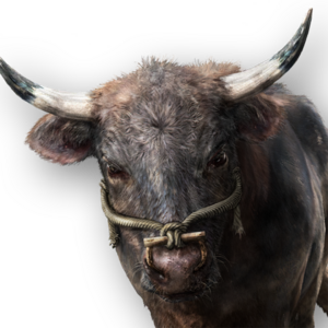 ACSH Pet Black Ox.png