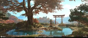 ACSH Three Trunked Tree 2.jpg