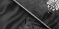 Thumbnail for version as of 00:09, 23 January 2026