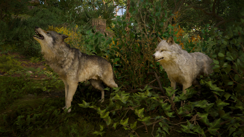 File:ACV Wolves.png