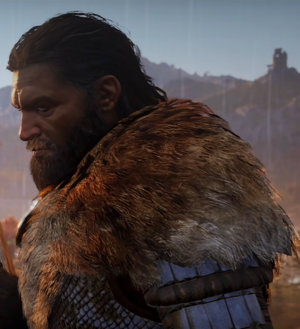ACVhalfdan.png