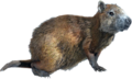 Thumbnail for version as of 11:30, 30 July 2026