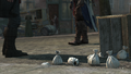Thumbnail for version as of 00:32, 23 January 2026