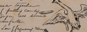 ACS Goose Clue.png