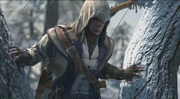 Connor Kenway in a tree