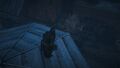 Thumbnail for version as of 00:19, 23 January 2026