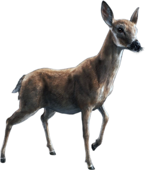 ACBFR DB Deer.png