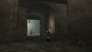 NVS 12.png