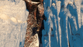 Thumbnail for version as of 00:09, 23 January 2026