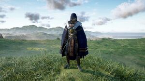 ACV Iberian Armor Set Cloak.jpg