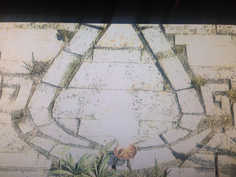File:Carribean Assassin Emblem.jpg