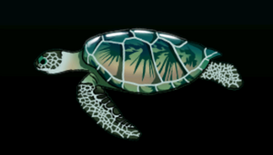 GreenSeaTurtleACP.png