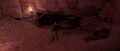 Thumbnail for version as of 00:23, 23 January 2026