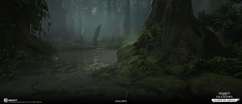 File:ACSH CoA Hidden Swamp 4.jpg