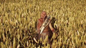 ACOd-KassWheat.jpg