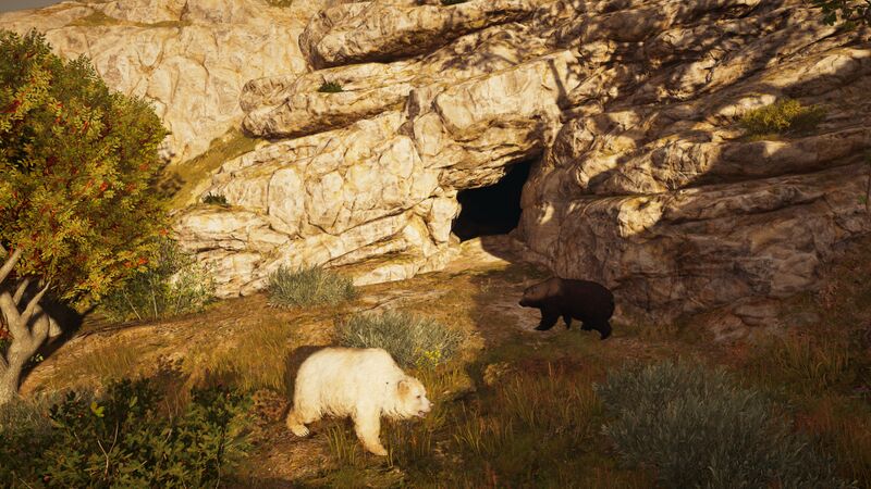 File:Lokris-SaltyBear.jpg