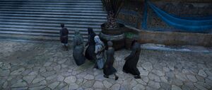 ACMir The Dancer 2.jpg