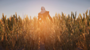 The Field of Reeds.