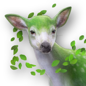 ACSH Pet Summer Deer.png