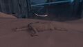 When completely turned to sand, the corpse disappears.