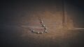 The broken necklace lying on the ground