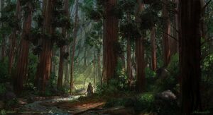 ACOD Forest Concept.jpg