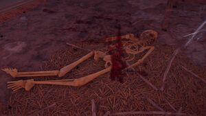 ACOd-Diantheskeleton.jpg