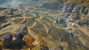 ACOd-Lesbos-Vineyard.jpg