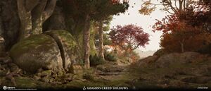 ACSH Path of Wisdom 4.jpg